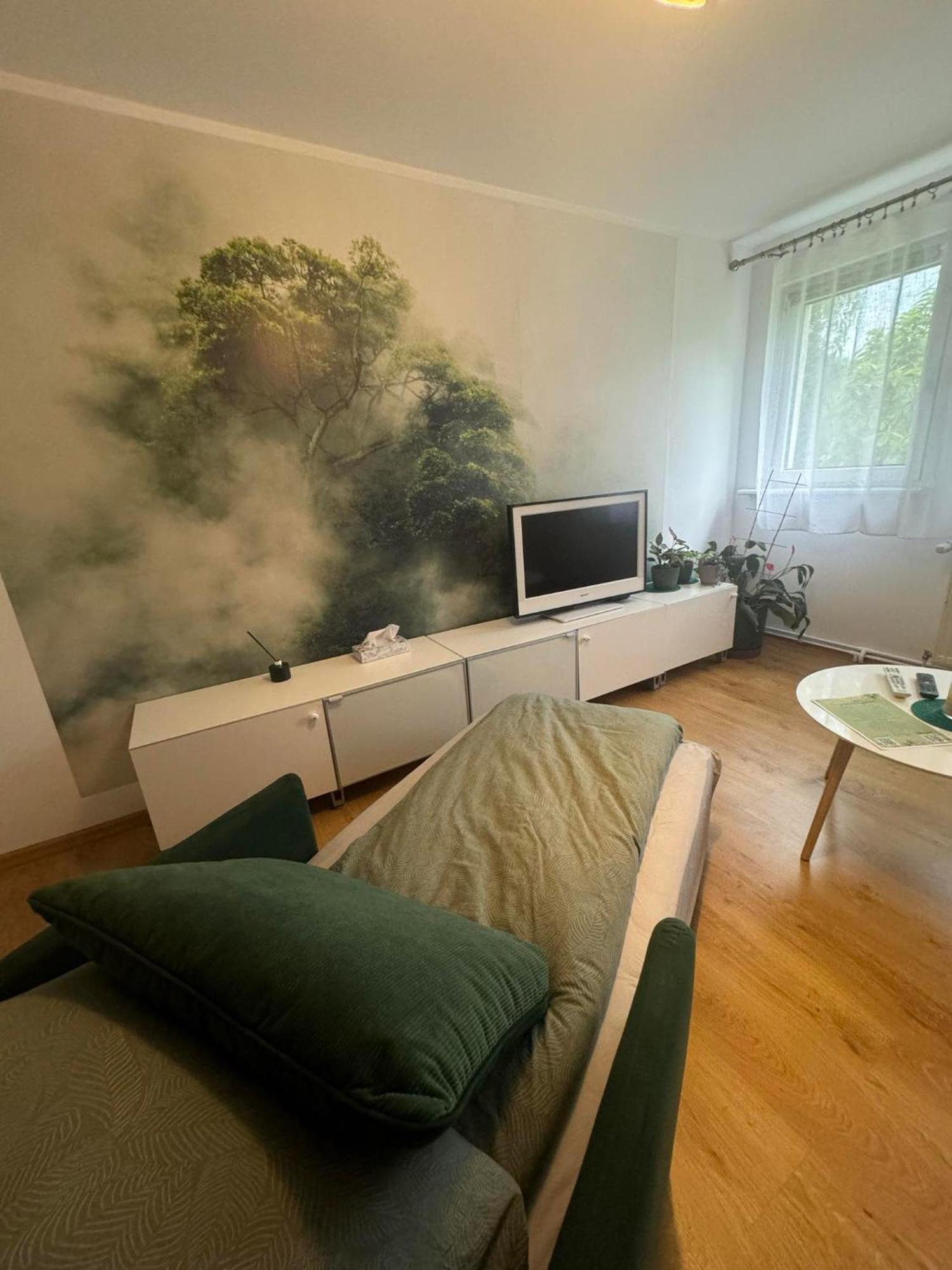 Zielony Zakatek ピエホビツェ 部屋 写真